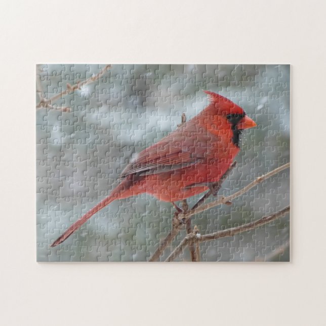 QUEBRA-CABEÇA CARDINAL (Horizontal)