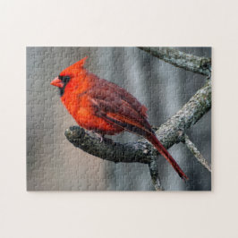 Quebra-cabeça cardinal