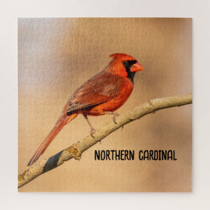 Quebra-cabeça Cardinal do norte