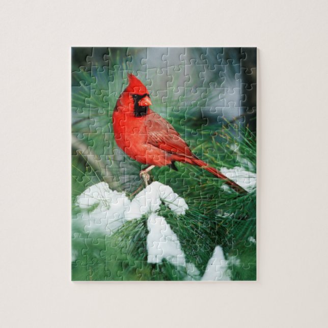 Quebra-cabeça Cardinal-vermelho macho em árvore, IL (Vertical)