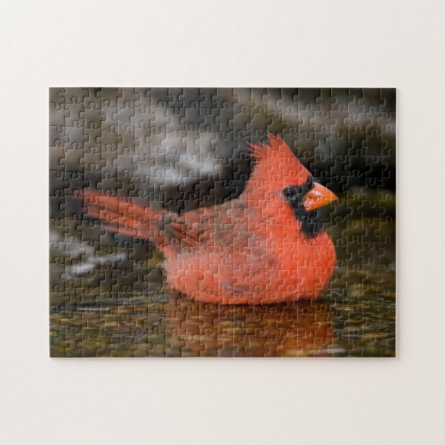 Quebra-cabeça Cardinal-vermelho-macho tomando banho (Horizontal)