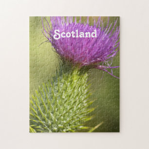 Quebra-cabeça Cardo de Scotland