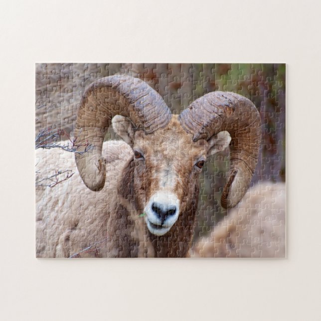 Quebra-cabeça Carneiro Bighorn das Montanhas Rochosas (Horizontal)