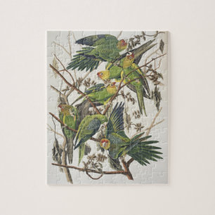 Quebra-cabeça Carolina Parakeet, de 'Birds of America', 1829