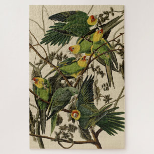 Quebra-cabeça Carolina Parrot das Aves da América de Audubon