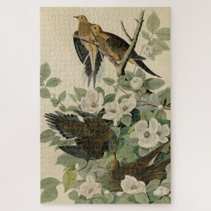 Quebra-cabeça Carolina Turtle Dove Mourning Dove Audubon's Birds