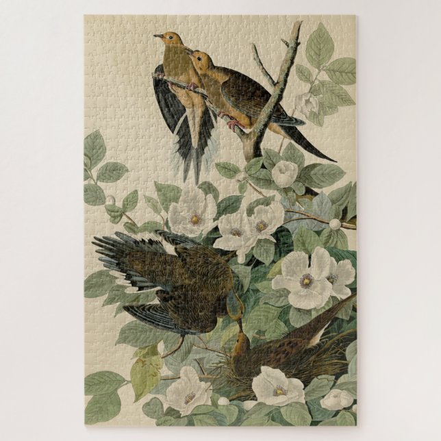 Quebra-cabeça Carolina Turtle Dove Mourning Dove Audubon's Birds (Vertical)