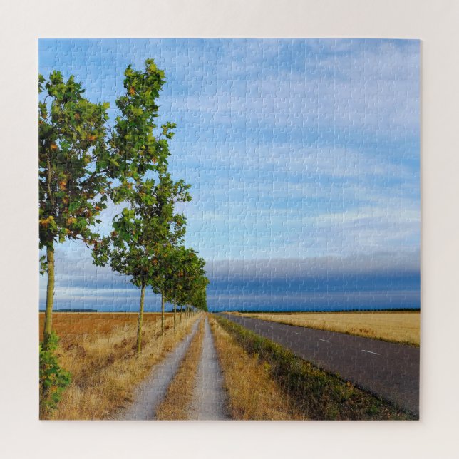 Quebra-cabeça Carretera Hacia Reliegos (Vertical)