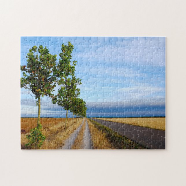 Quebra-cabeça Carretera Hacia Reliegos (Horizontal)