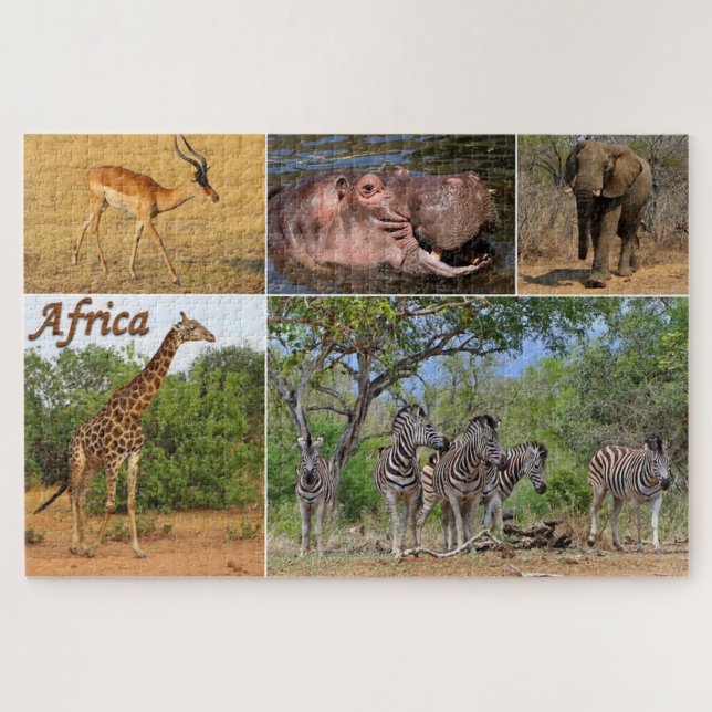 Quebra-cabeça Cartão-postal da África (Horizontal)