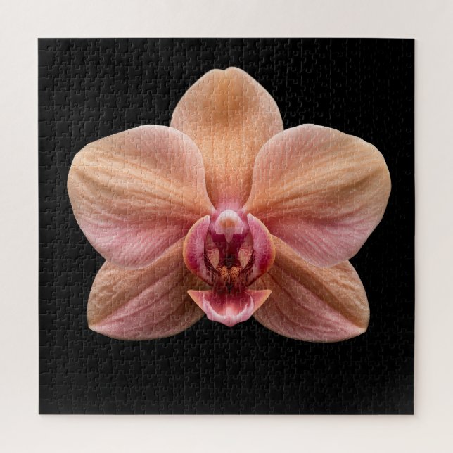Quebra-cabeça Cartaz da Coleção de Orquídeas Botânicas Elegantes (Vertical)