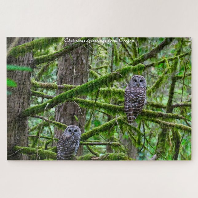 Quebra-cabeça Cartões de natal de Oregon Wild Owl (Horizontal)