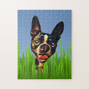 Quebra-cabeça Cartoon Engraçado Boston Terrier 252 Piece Quebra-
