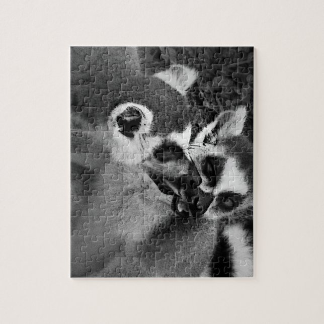 Quebra-cabeça Casal de lêmur de anel a comer melancia (Vertical)