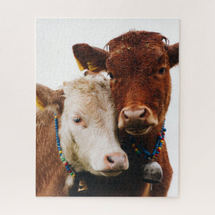 Quebra-cabeça casal de vacas