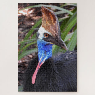 Quebra-cabeça Cassowary do sul