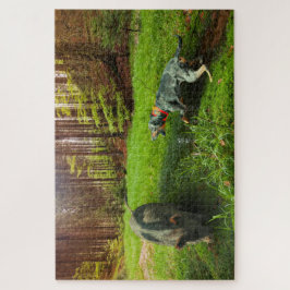 Quebra-cabeça Catahoula e Cachorro