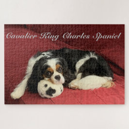 Quebra-cabeça Cavalier King Charles Spaniel