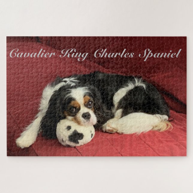 Quebra-cabeça Cavalier King Charles Spaniel (Horizontal)