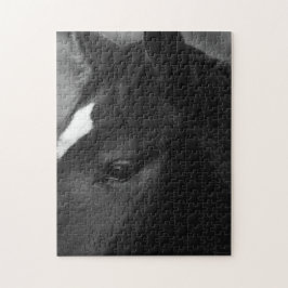 Quebra-cabeça Cavalo 11x14 252pc jpcna
