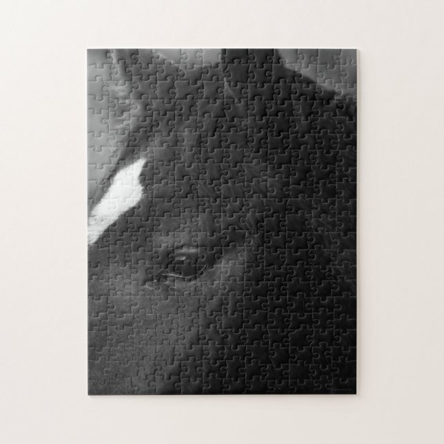 Quebra-cabeça Cavalo 11x14 jpcnm 252pc (Vertical)