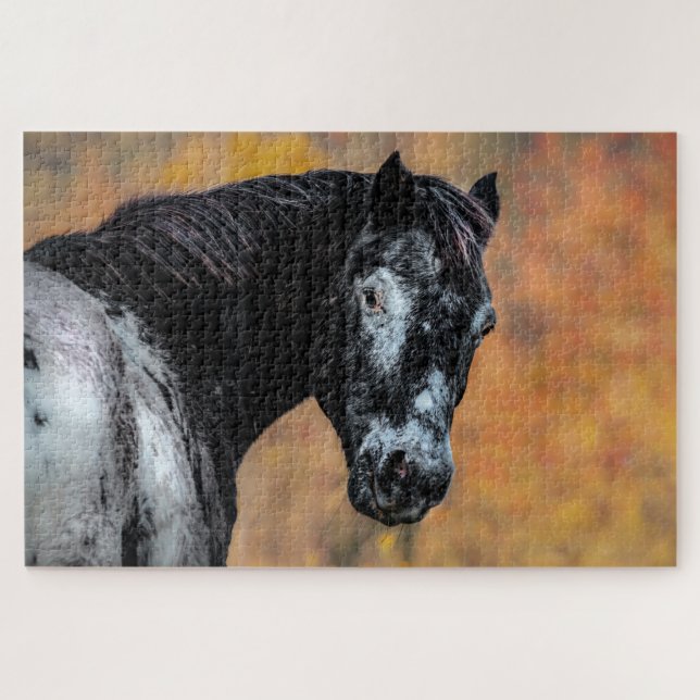 Quebra-cabeça Cavalo Appaloosa com cores de queda (Horizontal)