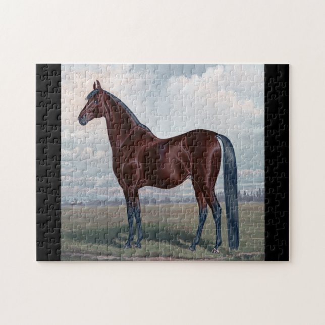 Quebra-cabeça Cavalo Árabe em Pé em um Campo (Horizontal)