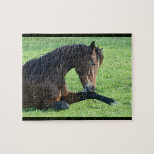Quebra-cabeça Cavalo castanho bonito a vaiar na grama