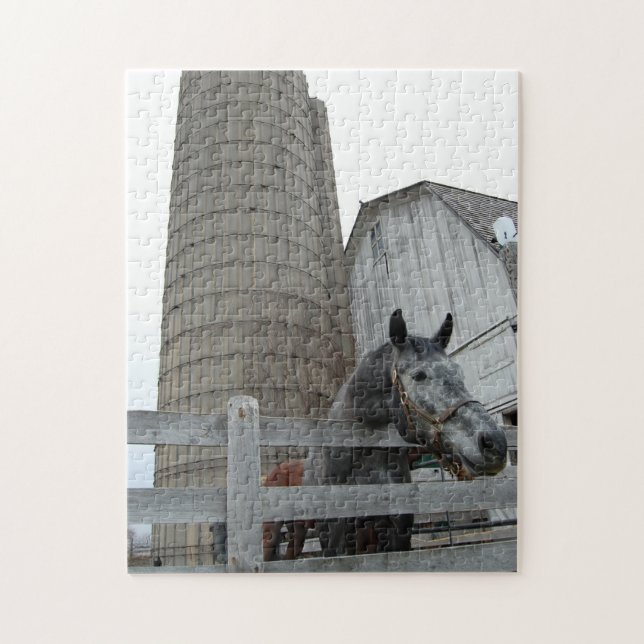 Quebra-cabeça Cavalo Cinto e Silo (Vertical)