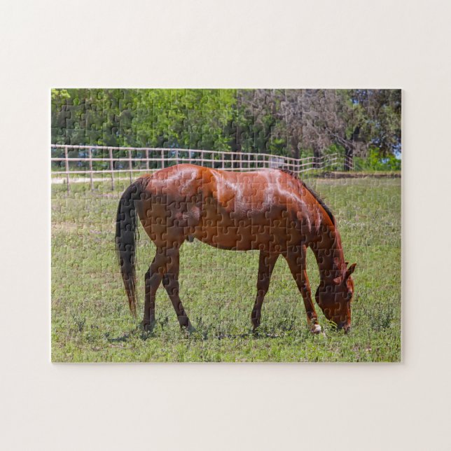 Quebra-cabeça Cavalo de castanha em campo (Horizontal)