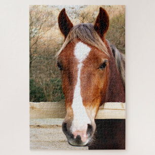 QUEBRA-CABEÇA CAVALO DE CHESNUT