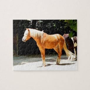 Quebra-cabeça Cavalo do Palomino