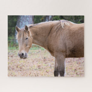 Quebra-cabeça Cavalo é Cavalo de Curso - 16x20 polegadas