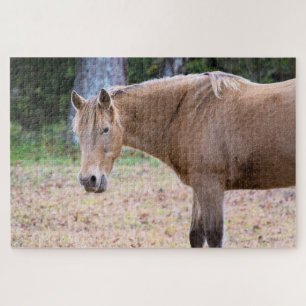 Quebra-cabeça Cavalo é um Cavalo - 20x30 polegadas