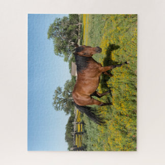 Quebra-cabeça Cavalo em Medow