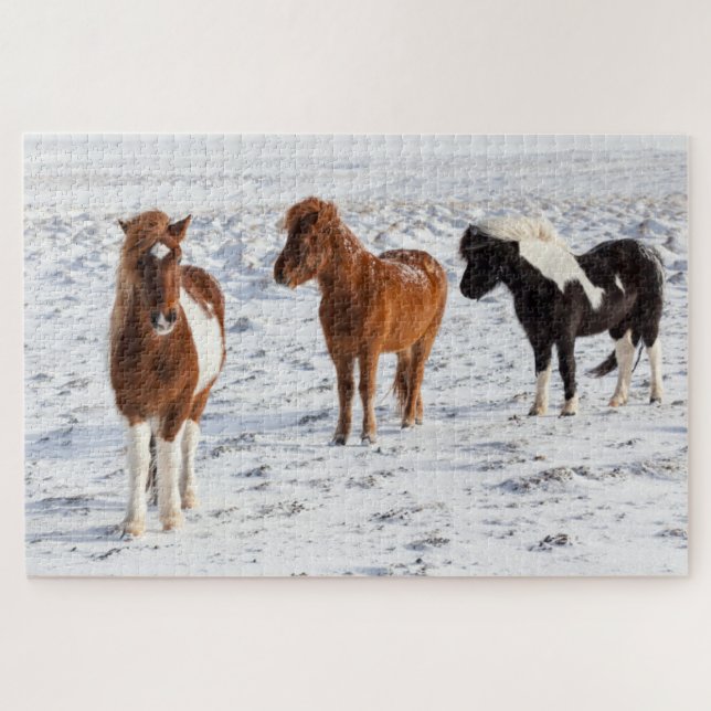 Quebra-cabeça Cavalo Islandês com Típico Casaco de Inverno (Horizontal)