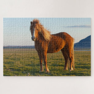 Quebra-cabeça Cavalo islandês na luz solar