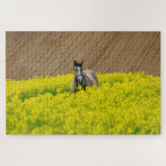 Quebra-cabeça Cavalo num campo de flores (Horizontal)