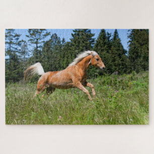 Quebra-cabeça Cavalo Palomino correndo por um prado