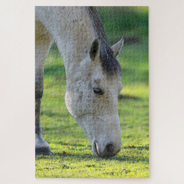 Quebra-cabeça Cavalo pastando no campo (Vertical)