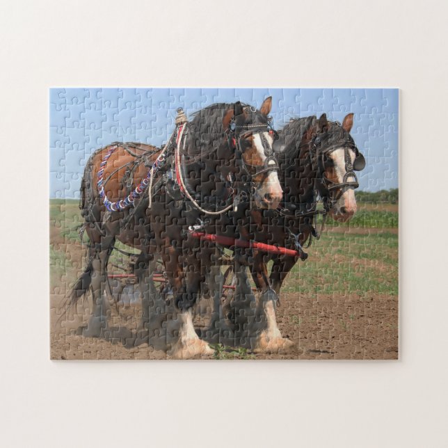 Quebra-cabeça Cavalos Clydesdale Arando. (Horizontal)