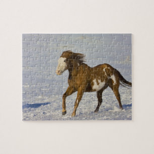 Quebra-cabeça Cavalos Correndo na Neve