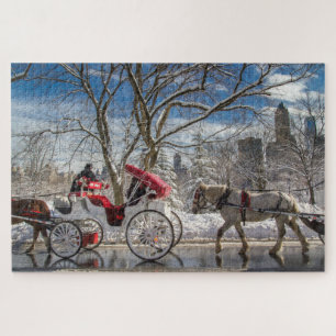 Quebra-cabeça Cavalos de Carruagem na neve central Park