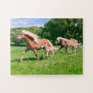 Quebra-cabeça Cavalos de Haflinger com Pés Bonitos Rodam Foto En