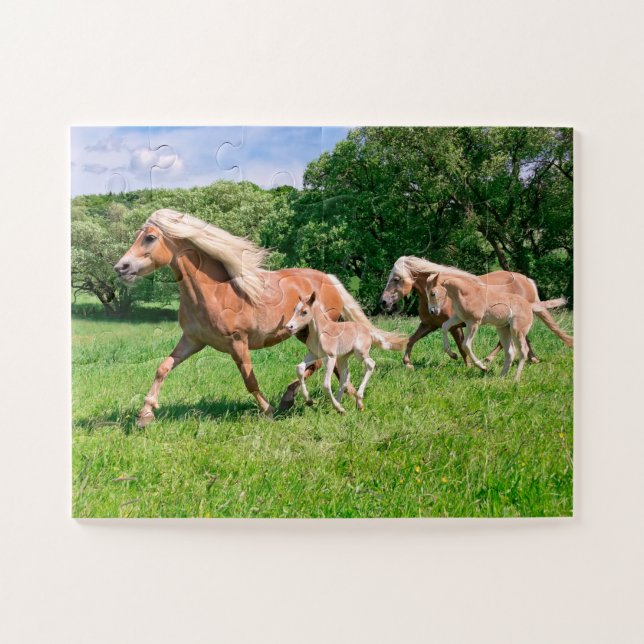 Quebra-cabeça Cavalos de Haflinger com Pés Bonitos Rodam Foto En (Horizontal)