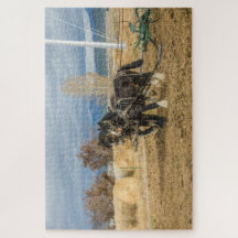 Cavalos de Shire e Fluxo - 1014 peças