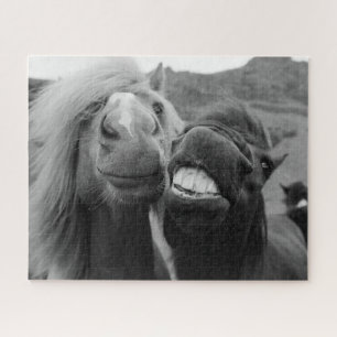 Quebra-cabeça Cavalos de sorriso das imagens de Getty