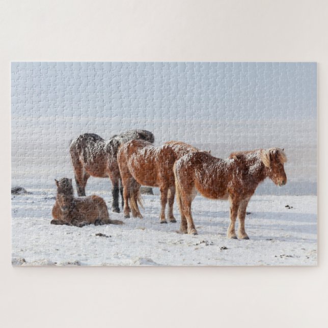 Quebra-cabeça Cavalos Islandeses Cobrados por Neve (Horizontal)