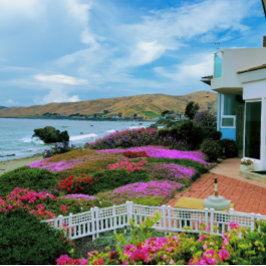 Quebra-cabeça Cayucos California