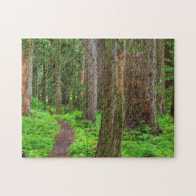 Quebra-cabeça Cenário de floresta primária (Horizontal)